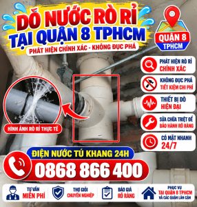 dò nước rò rỉ Quận 8
