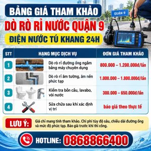 do-ro-ri-nuoc-quan-9